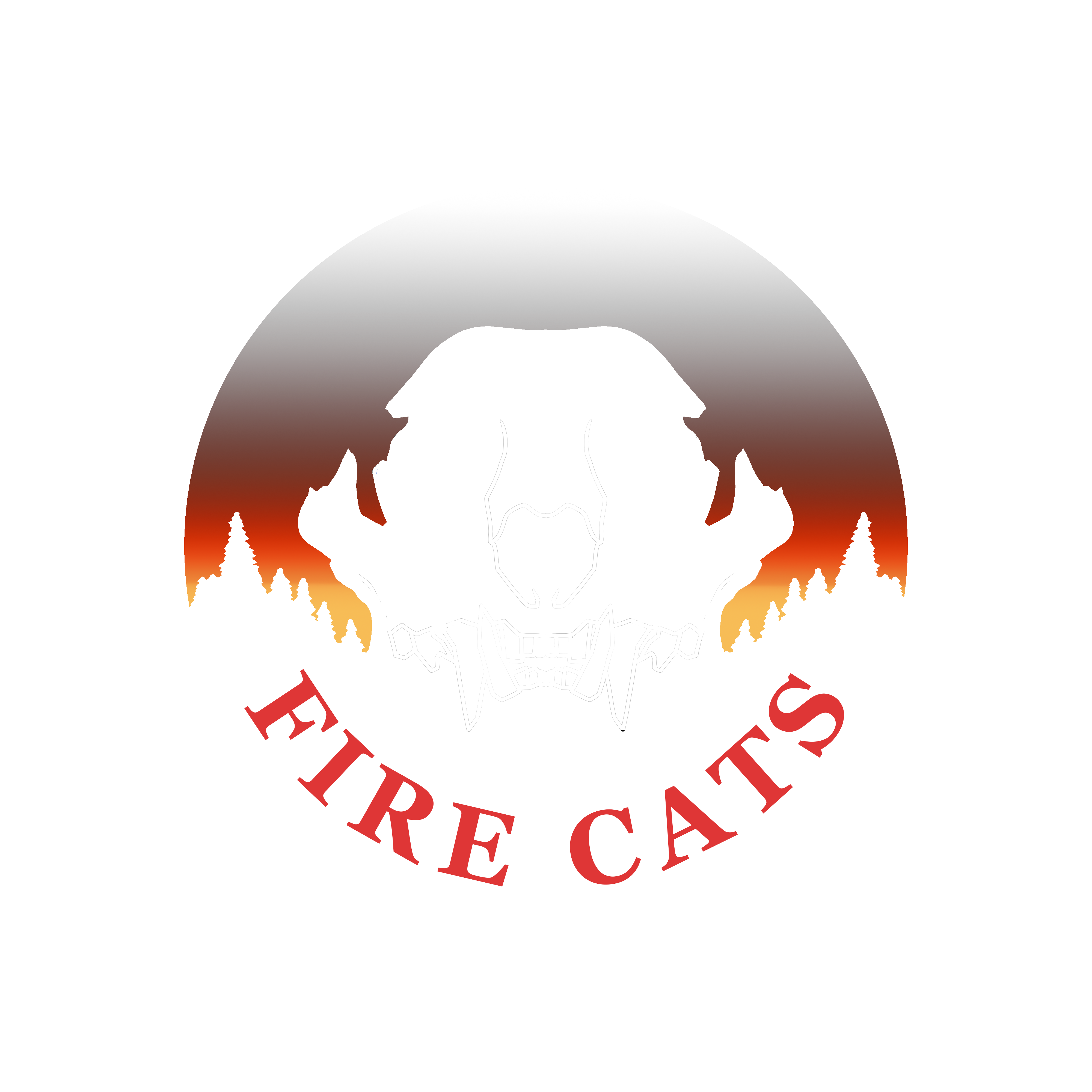 FireCats crew logo